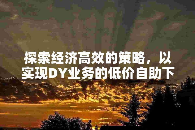 探索经济高效的策略，以实现DY业务的低价自助下单优化。