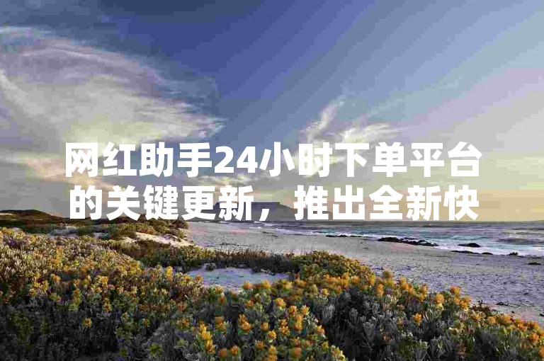 网红助手24小时下单平台的关键更新，推出全新快速下单服务，专为新人设计！