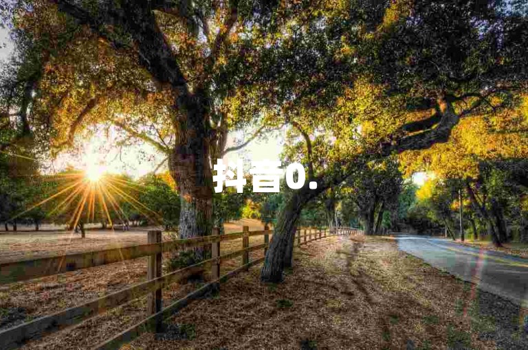 抖音0.5元10000赞 - 自助下单秒到账服务。