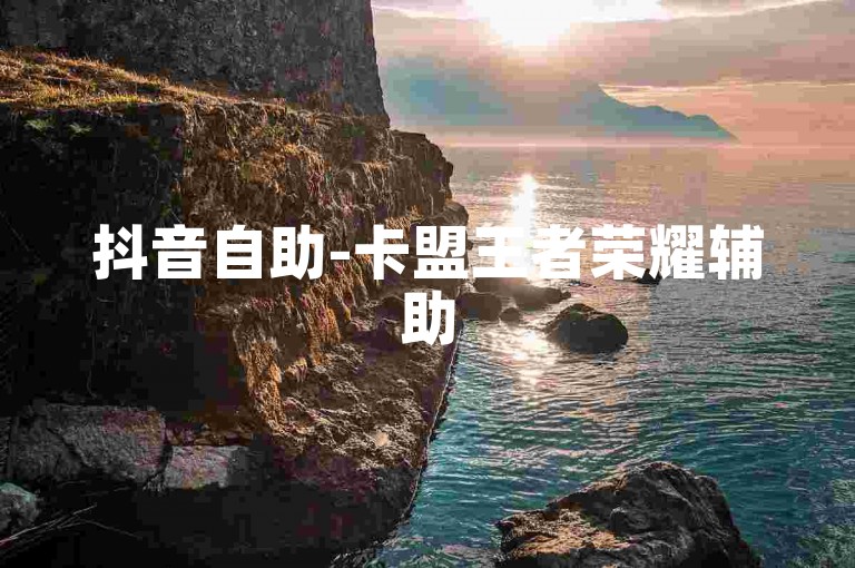 抖音自助-卡盟王者荣耀辅助