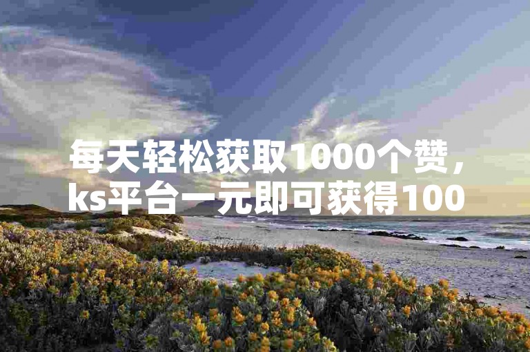 每天轻松获取1000个赞，ks平台一元即可获得1000赞的快速服务软件。