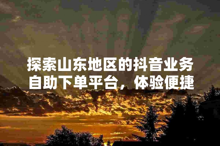 探索山东地区的抖音业务自助下单平台，体验便捷的dy热门下单服务。