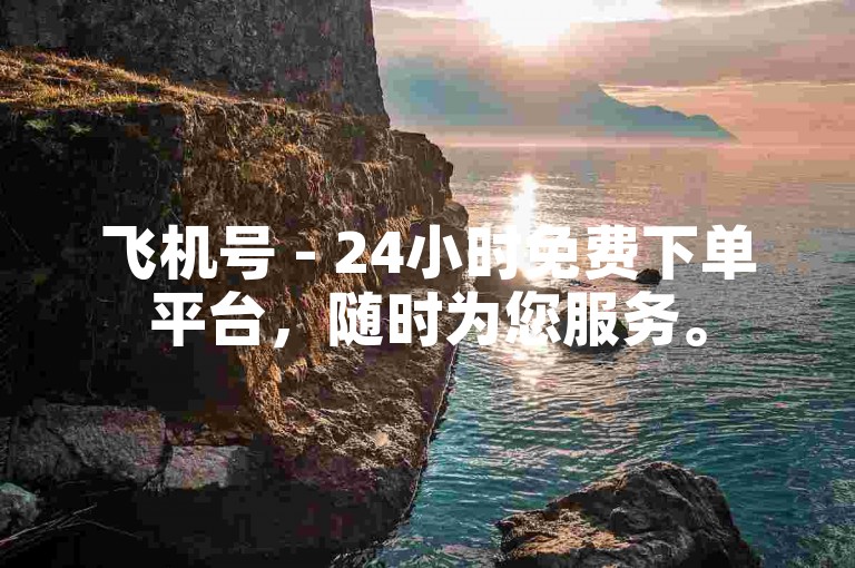 飞机号 - 24小时免费下单平台，随时为您服务。
