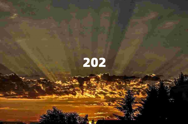 2025年拼多多助力享免单的订单确认时长是多久呢？