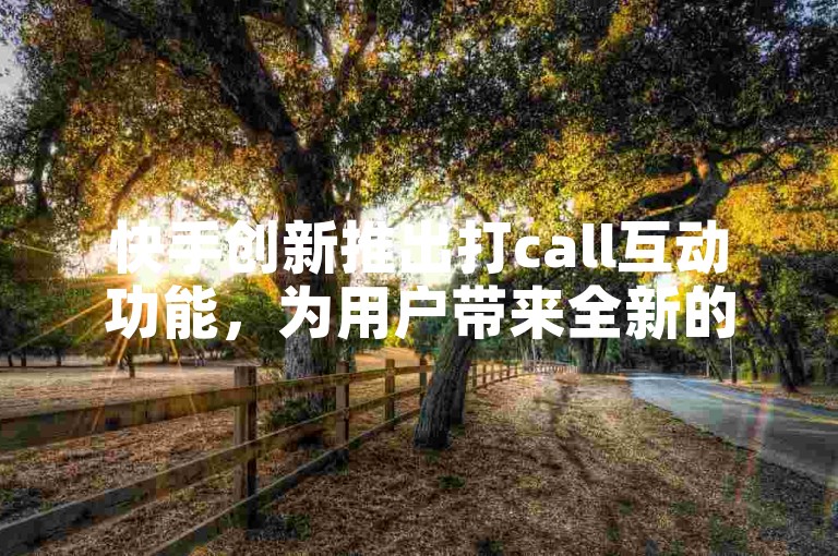 快手创新推出打call互动功能，为用户带来全新的社交体验。