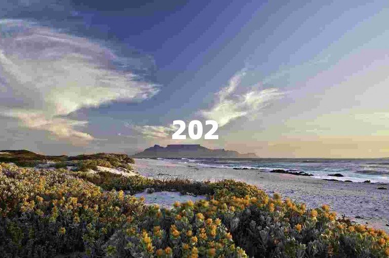 2025拼多多商家交流群{pdd营销}