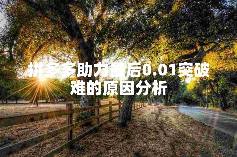 拼多多助力最后0.01突破难的原因分析