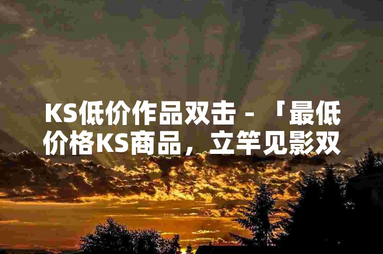 KS低价作品双击 - 「最低价格KS商品，立竿见影双击购买」！