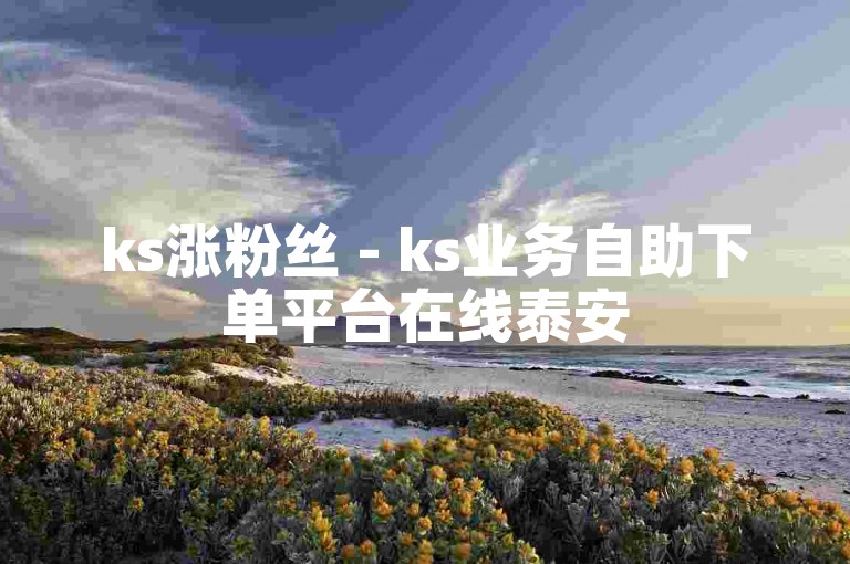ks涨粉丝 - ks业务自助下单平台在线泰安
