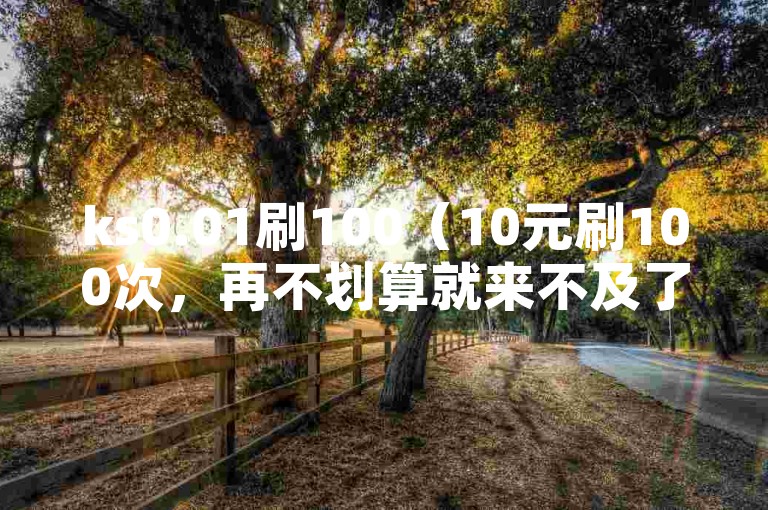 ks0.01刷100（10元刷100次，再不划算就来不及了）
